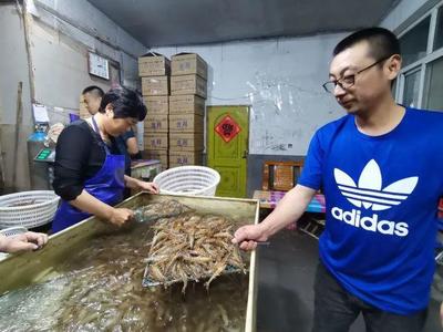 青島海鮮大量上市！每天20萬(wàn)斤從這里運(yùn)往全國(guó)，價(jià)格即將回落