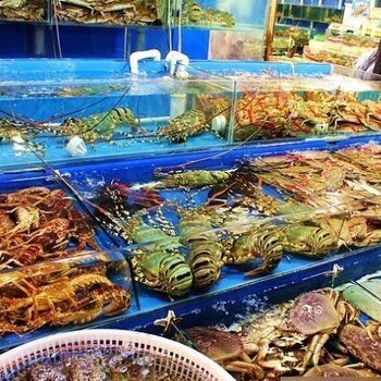 解密保定順平海鮮市場(chǎng) 新鮮保證的進(jìn)貨之源與批發(fā)路徑