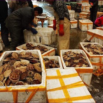 紅河彌勒市海鮮干貨市場(chǎng) 品質(zhì)海鮮批發(fā)的重要樞紐