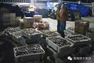 真正的海鮮不是去菜市場(chǎng)買的!